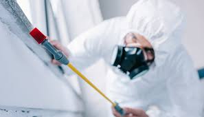 Best Residential Pest Control  in Star, NC